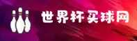 使用指南与常见问题