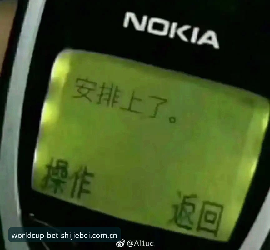 世界杯买球App新手必读：资深用户分享的投注实用经验